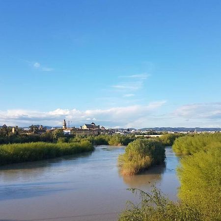 Apartamento San Pedro-Corredera Córdoba Exteriér fotografie