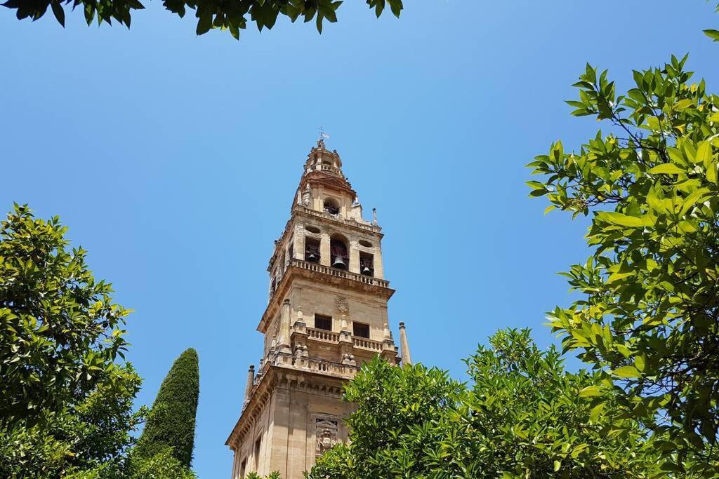 Apartamento San Pedro-Corredera Córdoba Exteriér fotografie